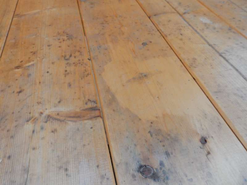 BAU.DE / BAU-Forum: 1. Bild zu Frage "Bl&auml;uebefall schon nach 3 Wochen Witterung?!" im BAU-Forum "Holzschutz, Holzsch&auml;den, Holzsanierung"