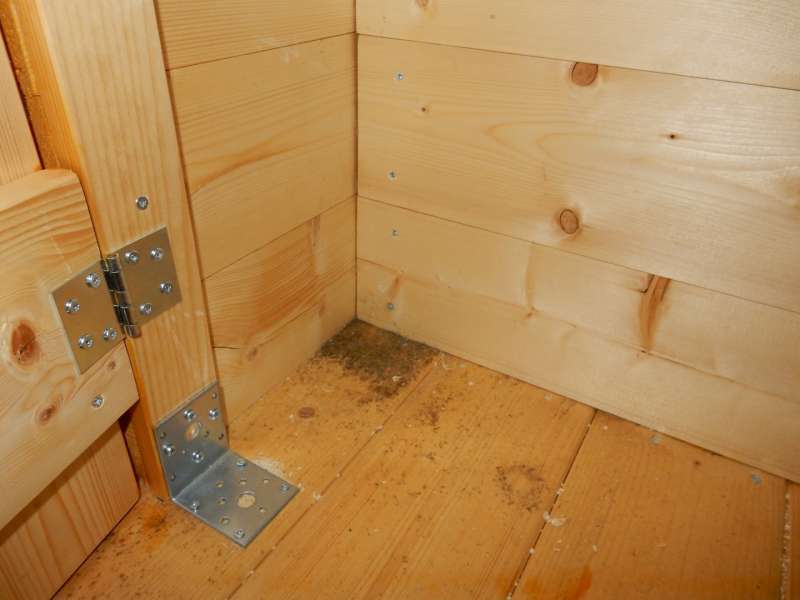 BAU.DE / BAU-Forum: 3. Bild zu Frage "Bl&auml;uebefall schon nach 3 Wochen Witterung?!" im BAU-Forum "Holzschutz, Holzsch&auml;den, Holzsanierung"