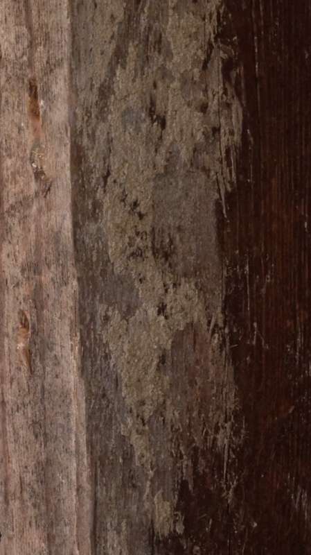 BAU.DE / BAU-Forum: 1. Bild zu Frage "Kennt sich jemand mit Holzschutzgiften aus? (DDT, Lindan, PCP usw.)" im BAU-Forum "Holzschutz, Holzsch&auml;den, Holzsanierung"