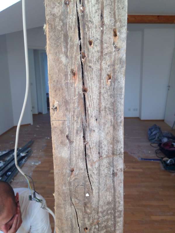 BAU.DE / BAU-Forum: 2. Bild zu Frage "Kennt sich jemand mit Holzschutzgiften aus? (DDT, Lindan, PCP usw.)" im BAU-Forum "Holzschutz, Holzsch&auml;den, Holzsanierung"