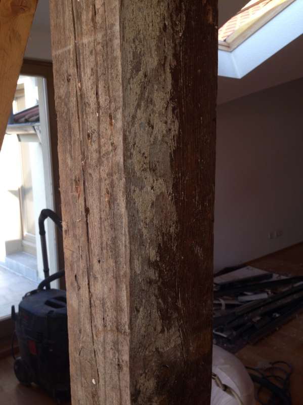 BAU.DE / BAU-Forum: 3. Bild zu Frage "Kennt sich jemand mit Holzschutzgiften aus? (DDT, Lindan, PCP usw.)" im BAU-Forum "Holzschutz, Holzsch&auml;den, Holzsanierung"