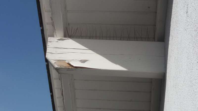 BAU.DE / BAU-Forum: 1. Bild zu Frage "Risse im Geb&auml;lk" im BAU-Forum "Holzschutz, Holzsch&auml;den, Holzsanierung"