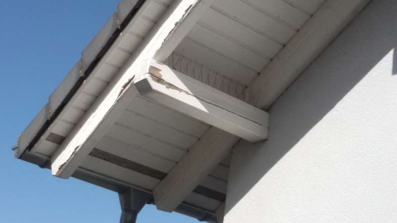 BAU.DE / BAU-Forum: 3. Bild zu Frage "Risse im Geb&auml;lk" im BAU-Forum "Holzschutz, Holzsch&auml;den, Holzsanierung"