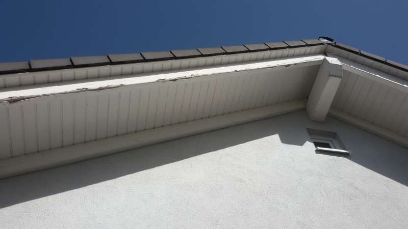 BAU.DE / BAU-Forum: 4. Bild zu Frage "Risse im Geb&auml;lk" im BAU-Forum "Holzschutz, Holzsch&auml;den, Holzsanierung"