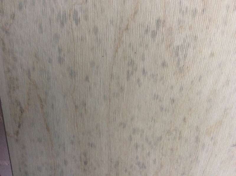 BAU.DE / BAU-Forum: 2. Bild zu Frage "Schimmel am Jalousiekasten / Rollokasten / Rolladenkasten" im BAU-Forum "Holzschutz, Holzsch&auml;den, Holzsanierung"