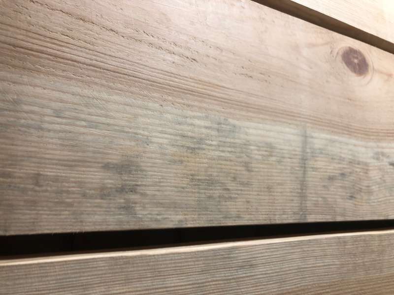 BAU.DE / BAU-Forum: 4. Bild zu Frage "Holzschimmel oder Holzgr&auml;ue?" im BAU-Forum "Holzschutz, Holzsch&auml;den, Holzsanierung"