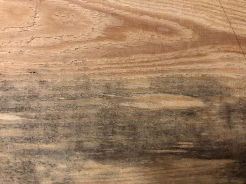 BAU.DE / BAU-Forum: 5. Bild zu Frage "Holzschimmel oder Holzgr&auml;ue?" im BAU-Forum "Holzschutz, Holzsch&auml;den, Holzsanierung"