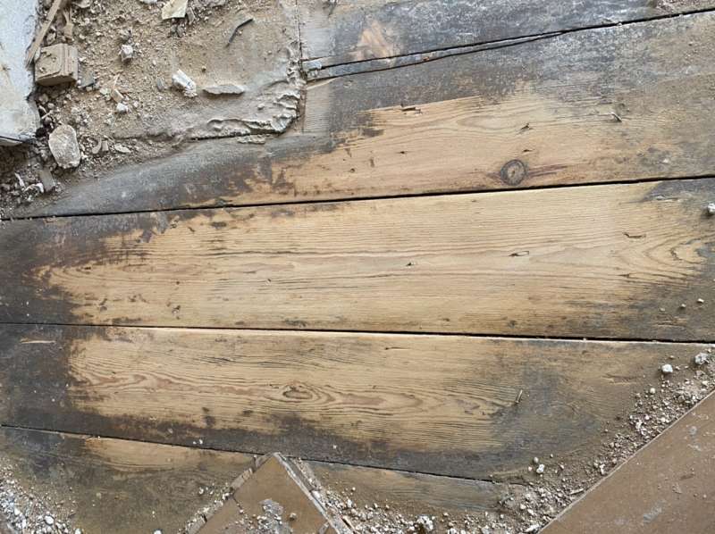 BAU.DE / BAU-Forum: 2. Bild zu Frage "Welche Holzart ist mein alter Dielenboden?" im BAU-Forum "Holzschutz, Holzsch&auml;den, Holzsanierung"