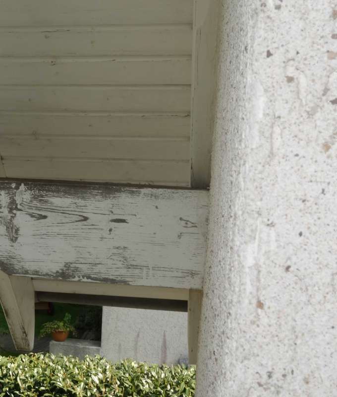 BAU.DE / BAU-Forum: 1. Bild zu Antwort "Ja, Danke. Ich habe von..." auf die Frage "Dachpfetten streichen: Welche Farbe & Alternativen zu teuren &Ouml;lfarben w&auml;hlen?" im BAU-Forum "Holzschutz, Holzsch&auml;den, Holzsanierung"