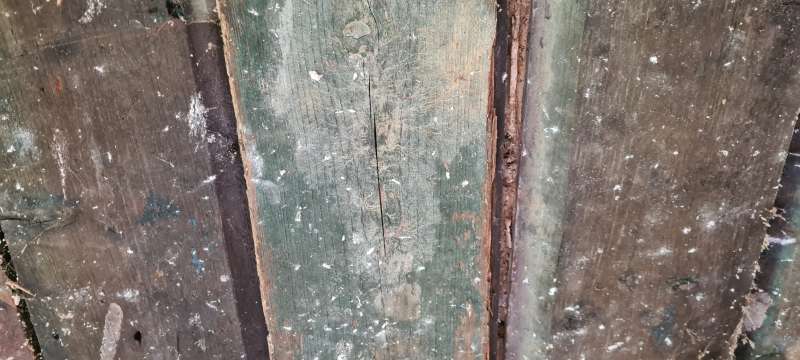 BAU.DE / BAU-Forum: 1. Bild zu Frage "Wei&szlig;er Porenschwamm oder doch Hausschwamm?" im BAU-Forum "Holzschutz, Holzsch&auml;den, Holzsanierung"