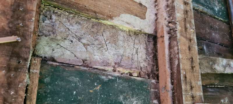 BAU.DE / BAU-Forum: 4. Bild zu Frage "Wei&szlig;er Porenschwamm oder doch Hausschwamm?" im BAU-Forum "Holzschutz, Holzsch&auml;den, Holzsanierung"