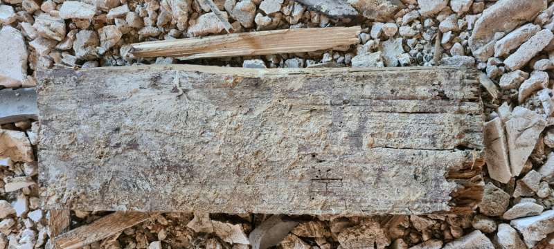 BAU.DE / BAU-Forum: 5. Bild zu Frage "Wei&szlig;er Porenschwamm oder doch Hausschwamm?" im BAU-Forum "Holzschutz, Holzsch&auml;den, Holzsanierung"