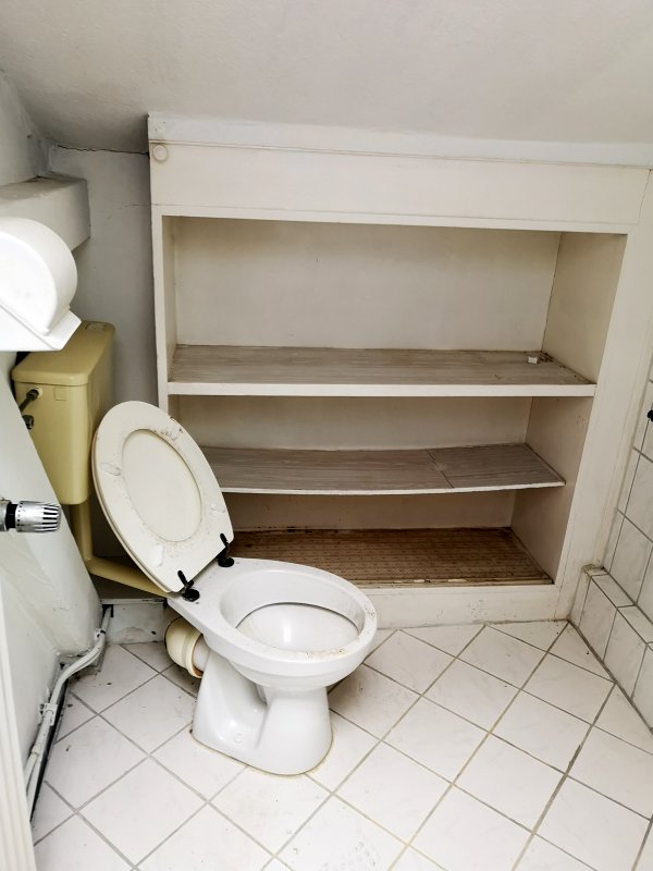 BAU.DE / BAU-Forum: 3. Bild zu Antwort "Risiko Hausschwamm" auf die Frage "Hausschwamm erkennen: Risiken, Sanierungskosten & Gutachter f&uuml;r Altbau?" im BAU-Forum "Holzschutz, Holzsch&auml;den, Holzsanierung"