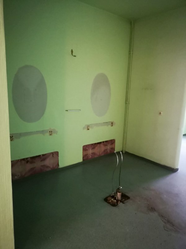 BAU.DE / BAU-Forum: 4. Bild zu Antwort "Risiko Hausschwamm" auf die Frage "Hausschwamm erkennen: Risiken, Sanierungskosten & Gutachter f&uuml;r Altbau?" im BAU-Forum "Holzschutz, Holzsch&auml;den, Holzsanierung"