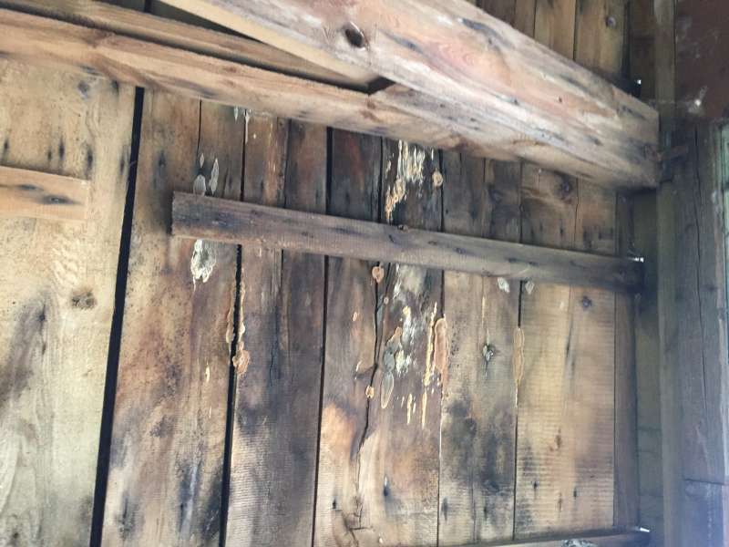 BAU.DE / BAU-Forum: 1. Bild zu Frage "Hausschwamm, Porenschwamm etc.?" im BAU-Forum "Holzschutz, Holzsch&auml;den, Holzsanierung"