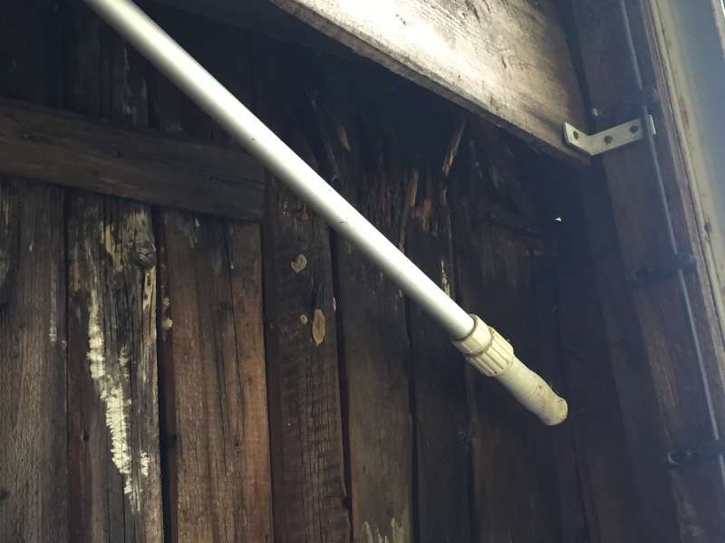 BAU.DE / BAU-Forum: 3. Bild zu Frage "Hausschwamm oder Porenschwamm? Erkennung, Unterschiede & Sanierung des Dachs" im BAU-Forum "Holzschutz, Holzsch&auml;den, Holzsanierung"