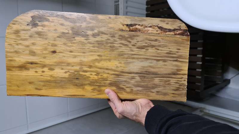 BAU.DE / BAU-Forum: 2. Bild zu Frage "Holzdiele verf&auml;rbt & Geruch: Pilz oder Ursache in Zwischendecke? Analyse & Ma&szlig;nahmen" im BAU-Forum "Holzschutz, Holzsch&auml;den, Holzsanierung"