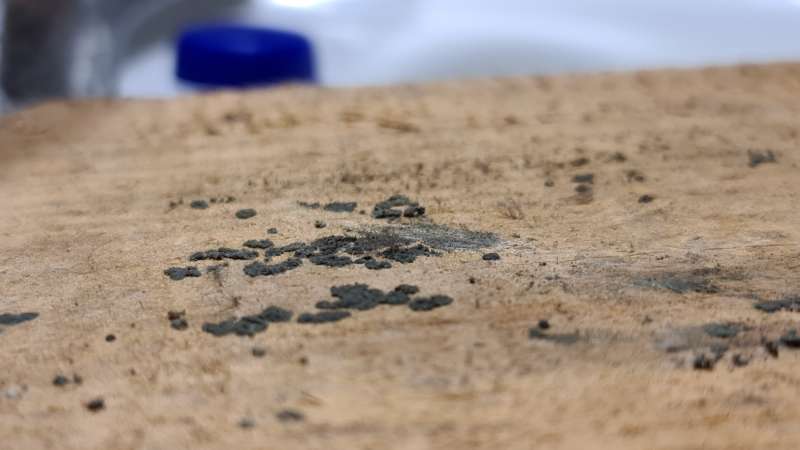 BAU.DE / BAU-Forum: 5. Bild zu Frage "Holzdiele verf&auml;rbt & Geruch: Pilz oder Ursache in Zwischendecke? Analyse & Ma&szlig;nahmen" im BAU-Forum "Holzschutz, Holzsch&auml;den, Holzsanierung"