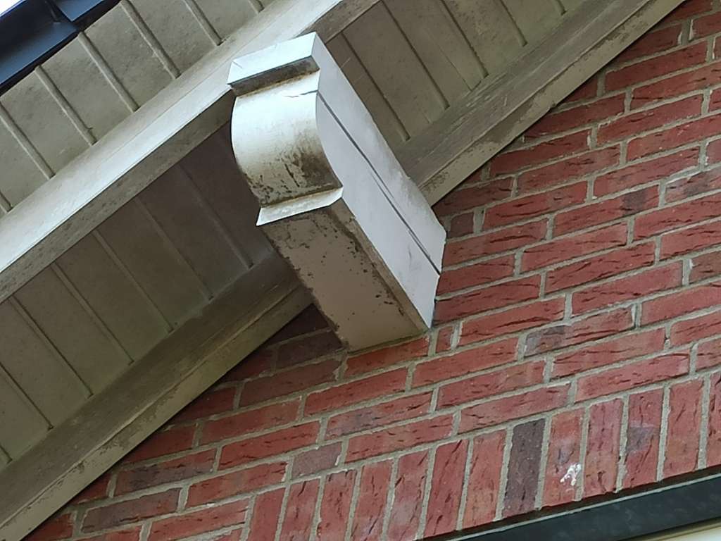 BAU.DE / BAU-Forum: 1. Bild zu Frage "Hartn&auml;ckiger Oberfl&auml;chenschimmel an Dachunterseiten - Ursachen und L&ouml;sungen?" im BAU-Forum "Holzschutz, Holzsch&auml;den, Holzsanierung"