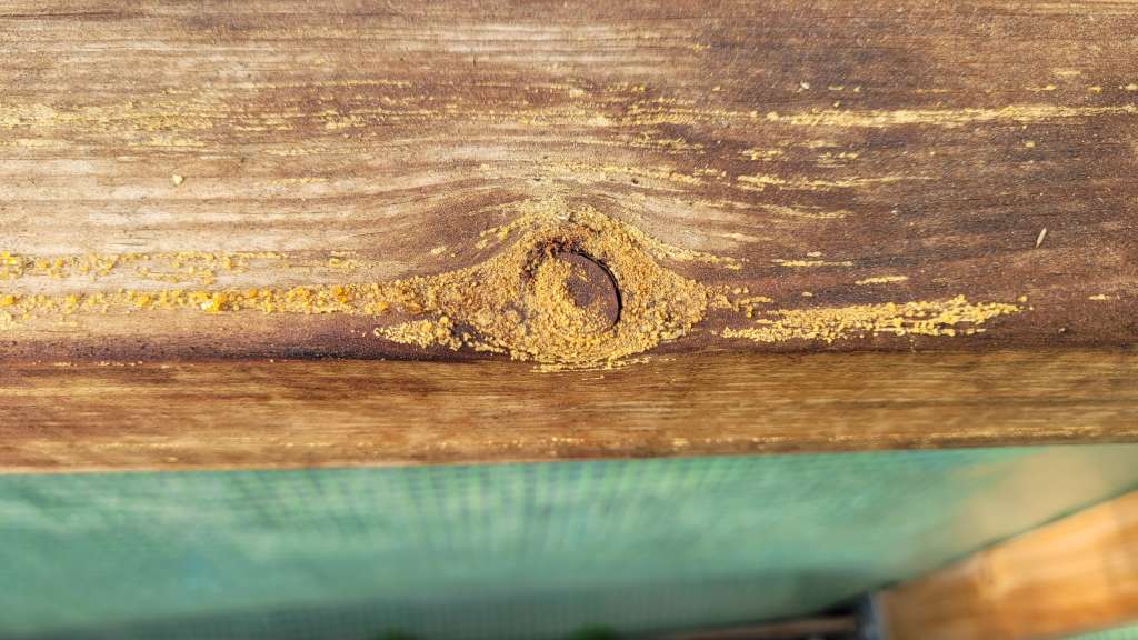 BAU.DE / BAU-Forum: 1. Bild zu Frage "Gelbe Brösel auf imprägniertem Holz im Gewächshaus: Ursache und Behandlung?" im BAU-Forum "Holzschutz, Holzsch&auml;den, Holzsanierung"