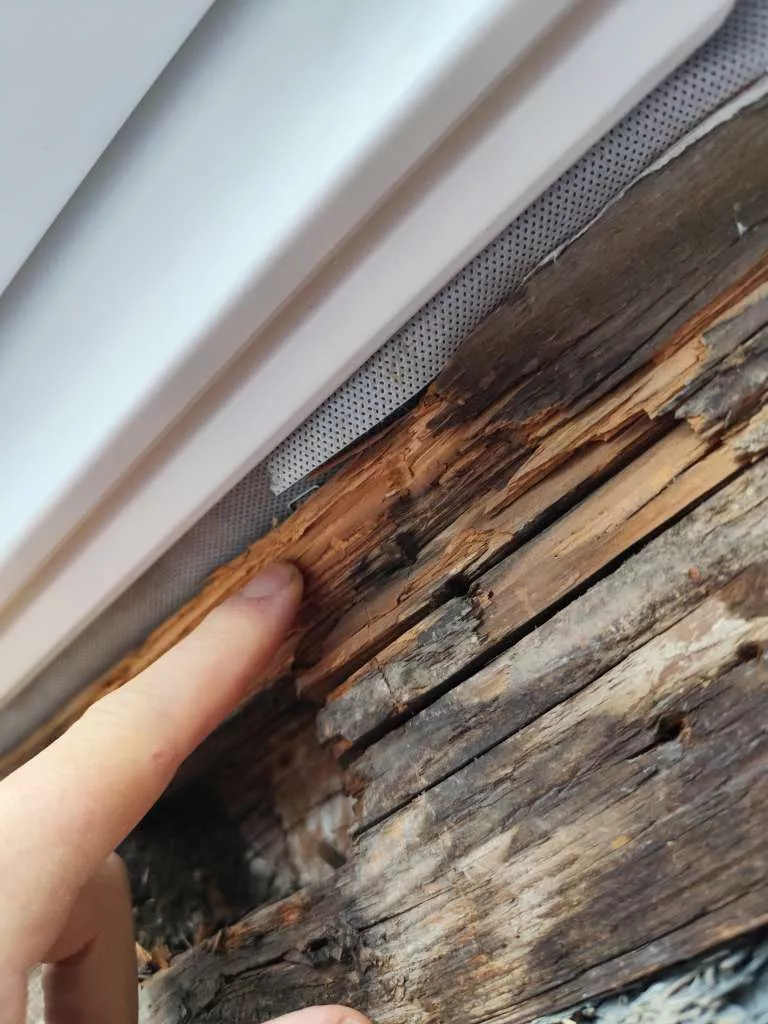 BAU.DE / BAU-Forum: 1. Bild zu Frage "Maroden Dachbalken armieren - Welche Methoden bei wenig Platz?" im BAU-Forum "Holzschutz, Holzsch&auml;den, Holzsanierung"