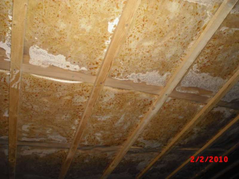 BAU.DE / BAU-Forum: 1. Bild zu Antwort "Antwort" auf die Frage "Feuchtigkeit in Kellerdeckendämmung: Ursachen, Folgen & Sanierung bei Glasfaserwolle?" im BAU-Forum "Innenwände" BAU.DE / BAU-Forum: 1. Bild zu Antwort "Antwort" auf die Frage "Feuchtigkeit in Kellerdeckendämmung: Ursachen, Folgen & Sanierung bei Glasfaserwolle?" im BAU-Forum "Innenwände"