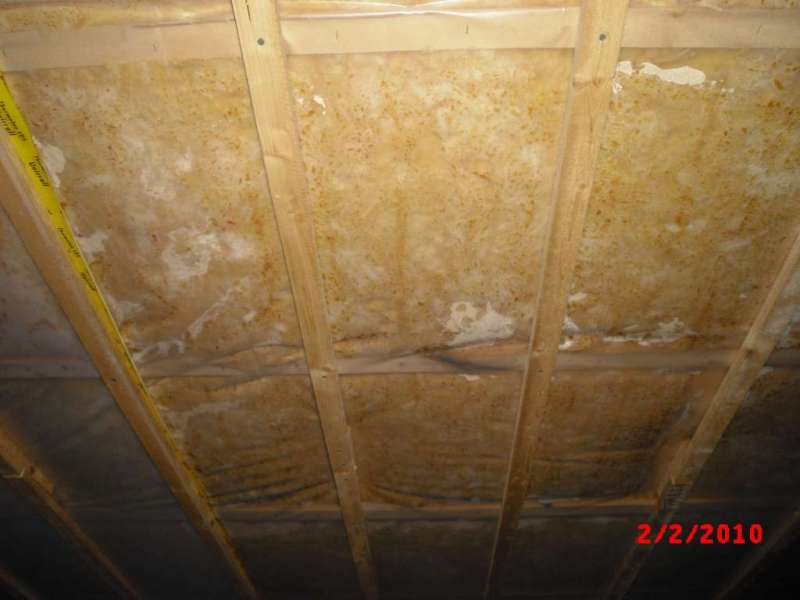 BAU.DE / BAU-Forum: 5. Bild zu Antwort "Antwort" auf die Frage "Feuchtigkeit in Kellerdeckendämmung: Ursachen, Folgen & Sanierung bei Glasfaserwolle?" im BAU-Forum "Innenwände" BAU.DE / BAU-Forum: 5. Bild zu Antwort "Antwort" auf die Frage "Feuchtigkeit in Kellerdeckendämmung: Ursachen, Folgen & Sanierung bei Glasfaserwolle?" im BAU-Forum "Innenwände"