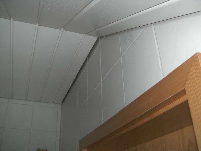 BAU.DE / BAU-Forum: 1. Bild zu Frage "Wie Decken-Wand-Schattenfugen insektenfrei abdichten" im BAU-Forum "Innenw&auml;nde"