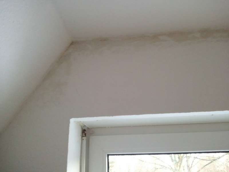 BAU.DE / BAU-Forum: 2. Bild zu Frage "Nasse Ecken/Kanten Innenwand DG zur Au&szlig;enwand" im BAU-Forum "Innenw&auml;nde"