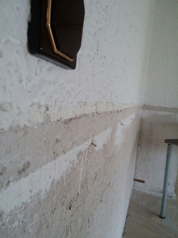 BAU.DE / BAU-Forum: 1. Bild zu Frage "Rustikalputz &uuml;berputzen" im BAU-Forum "Innenw&auml;nde"