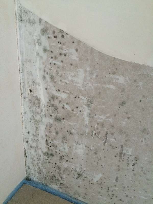 BAU.DE / BAU-Forum: 2. Bild zu Frage "Guten Tag, in einer Neubauwohnung sind mehrere..." im BAU-Forum "Innenw&auml;nde"