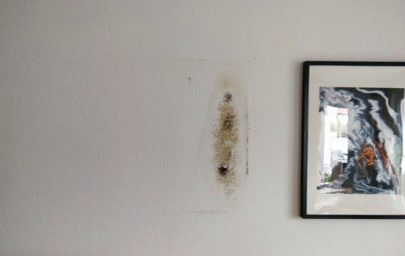 BAU.DE / BAU-Forum: 1. Bild zu Antwort "Erg&auml;nzung" auf die Frage "Schimmel hinter Bilderrahmen: Ursachen, Gefahren & Sanierung in Neubauwohnung?" im BAU-Forum "Innenw&auml;nde"