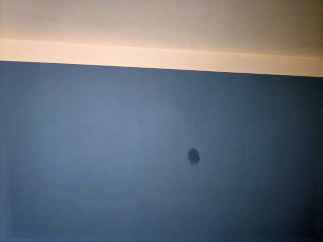 BAU.DE / BAU-Forum: 2. Bild zu Frage "Ziegelhaus innen feuchte Stellen an der Wetterseite" im BAU-Forum "Innenw&auml;nde"