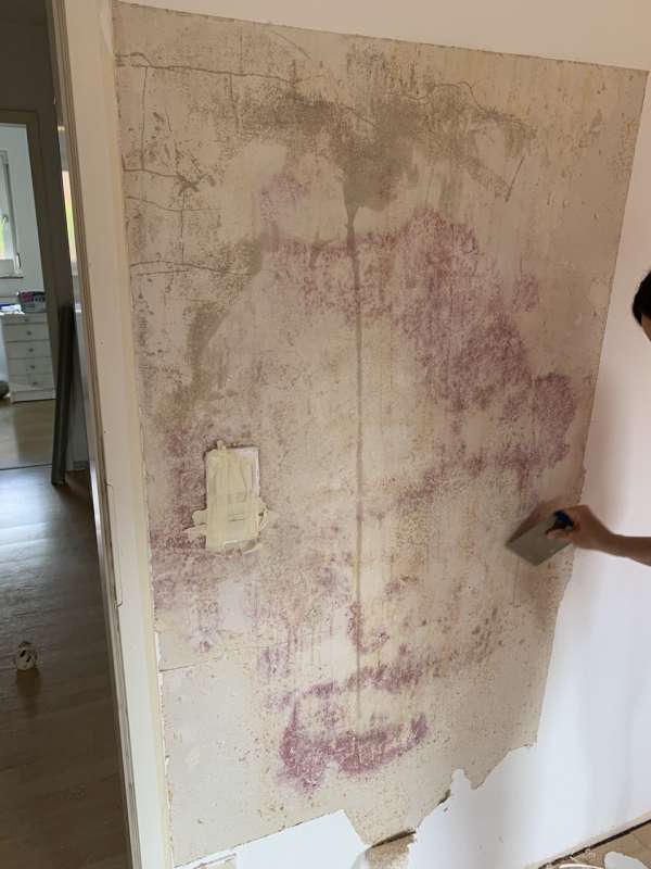 BAU.DE / BAU-Forum: 1. Bild zu Frage "Roter Schimmel?" im BAU-Forum "Innenw&auml;nde"