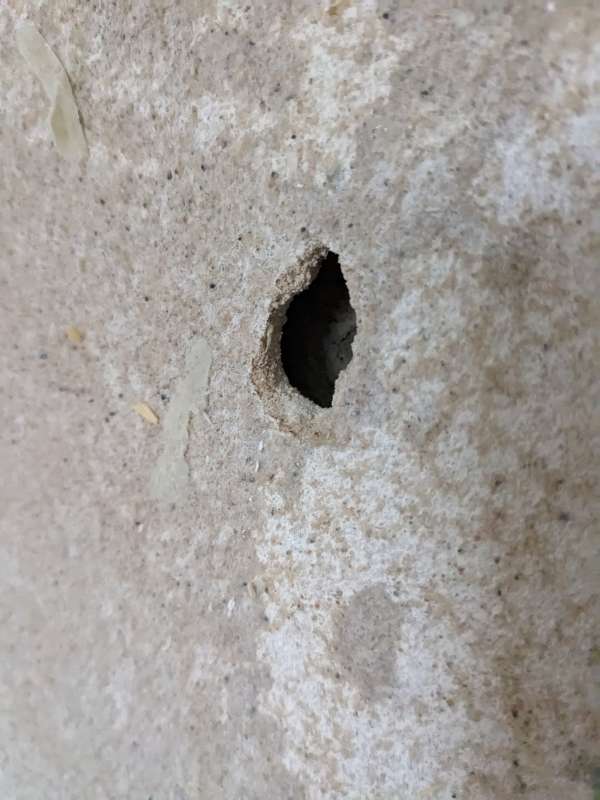 BAU.DE / BAU-Forum: 2. Bild zu Frage "Putzwand als Innenwand? Ist das m&ouml;glich" im BAU-Forum "Innenw&auml;nde"