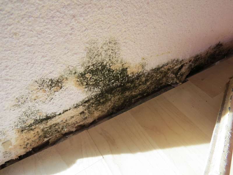 BAU.DE / BAU-Forum: 1. Bild zu Frage "Schimmel im Innenbereich auf und oberhalb der Sockelleiste / Fu&szlig;leiste festgestellt" im BAU-Forum "Innenw&auml;nde"