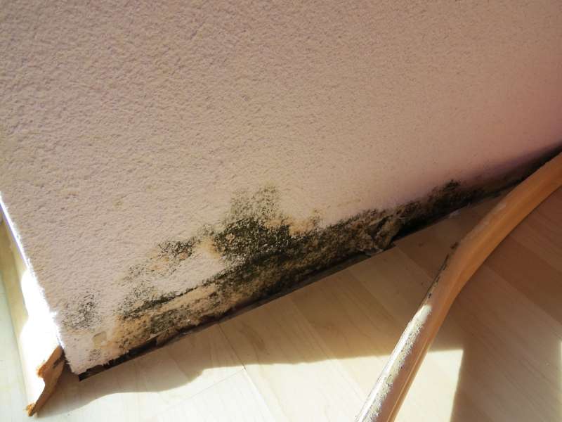 BAU.DE / BAU-Forum: 2. Bild zu Frage "Schimmel im Innenbereich auf und oberhalb der Sockelleiste / Fu&szlig;leiste festgestellt" im BAU-Forum "Innenw&auml;nde"