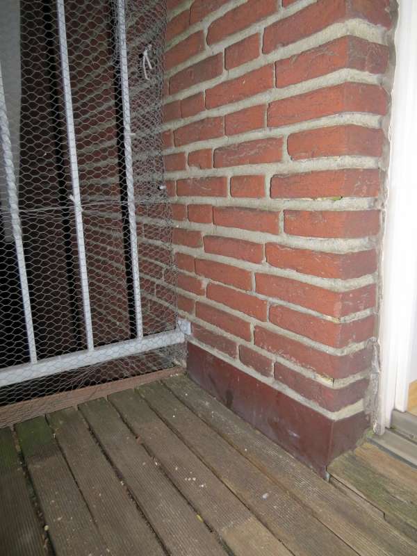 BAU.DE / BAU-Forum: 1. Bild zu Antwort "Erg&auml;nzung zu Schimmel im Innenbereich auf und oberhalb der Sockelleiste / Fu&szlig;leiste festgestellt" auf die Frage "Schimmel Sockelleiste: Ursachen, Entfernung & Vorbeugung im Innenraum?" im BAU-Forum "Innenw&auml;nde"