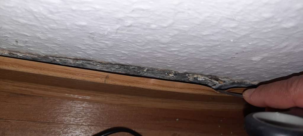 BAU.DE / BAU-Forum: 2. Bild zu Frage "Schimmer oder Salzausbl&uuml;hungen und wieso?" im BAU-Forum "Innenw&auml;nde"