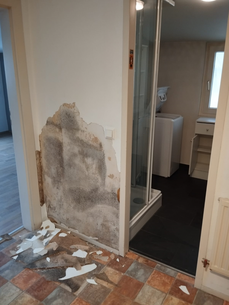 BAU.DE / BAU-Forum: 1. Bild zu Frage "Schimmelbildung Innenwand: Ursachen finden & Beseitigung &ndash; Was tun bei Schimmel?" im BAU-Forum "Innenw&auml;nde"