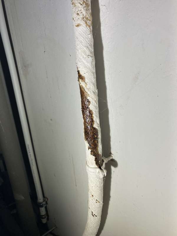 BAU.DE / BAU-Forum: 2. Bild zu Frage "Öliges Hausanschlusskabel im Altbau: Ursachen, Gefahren & Handlungsoptionen?" im BAU-Forum "Installation: Elektro, Gas, Wasser, Fernwärme etc." BAU.DE / BAU-Forum: 2. Bild zu Frage "Öliges Hausanschlusskabel im Altbau: Ursachen, Gefahren & Handlungsoptionen?" im BAU-Forum "Installation: Elektro, Gas, Wasser, Fernwärme etc."