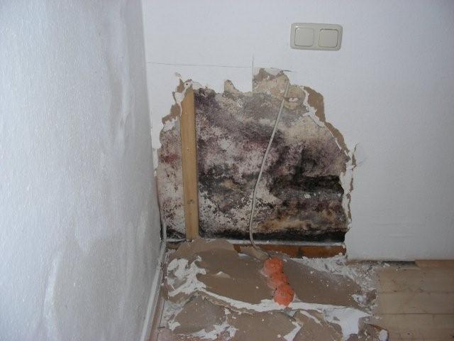 BAU.DE / BAU-Forum: 1. Bild zu Antwort "Alternative zu Schaumglas: I-Bausystem f&uuml;r Kellerd&auml;mmung geeignet" auf die Frage "Kellerausbau mit Gipskarton: Risiken, D&auml;mmung & Alternativen f&uuml;r Heimkino?" im BAU-Forum "Keller"