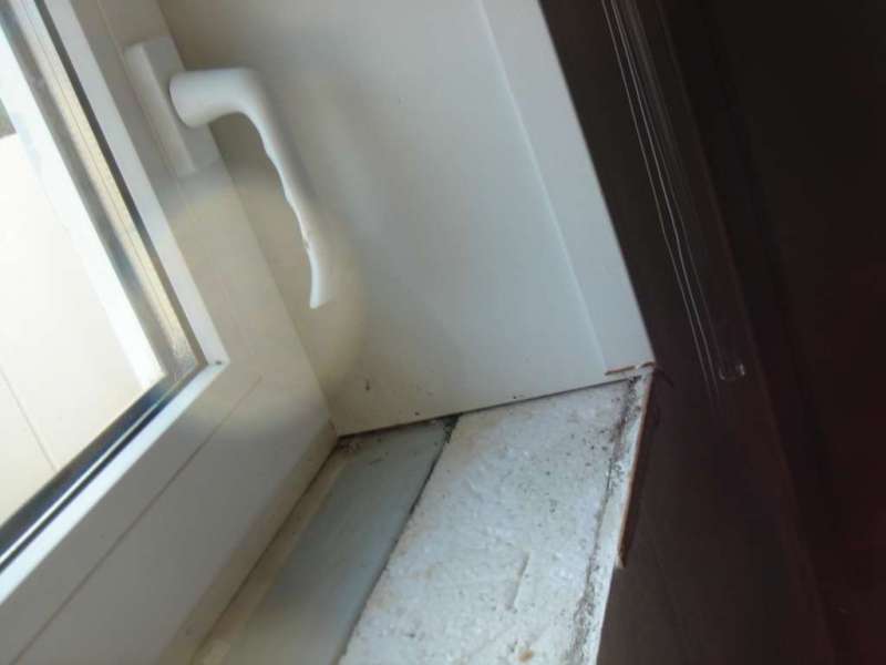 BAU.DE / BAU-Forum: 2. Bild zu Frage "Kellerinnend&auml;mmung: Kondenswasser & Schimmel vermeiden &ndash; Ursachen, L&ouml;sungen & Kosten?" im BAU-Forum "Keller"