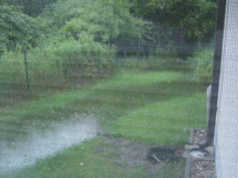 BAU.DE / BAU-Forum: 2. Bild zu Frage "Feuchtigkeit in EG-Wohnung ohne Keller: Ursachen, Risiken & Sanierung von WU-Bodenplatten?" im BAU-Forum "Keller" BAU.DE / BAU-Forum: 2. Bild zu Frage "Feuchtigkeit in EG-Wohnung ohne Keller: Ursachen, Risiken & Sanierung von WU-Bodenplatten?" im BAU-Forum "Keller"