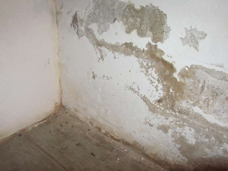 BAU.DE / BAU-Forum: 1. Bild zu Frage "Feuchte Kellerwand erkennen: Ursachen (aufsteigende Feuchtigkeit, undichtes Mauerwerk) & Sanierung?" im BAU-Forum "Keller"