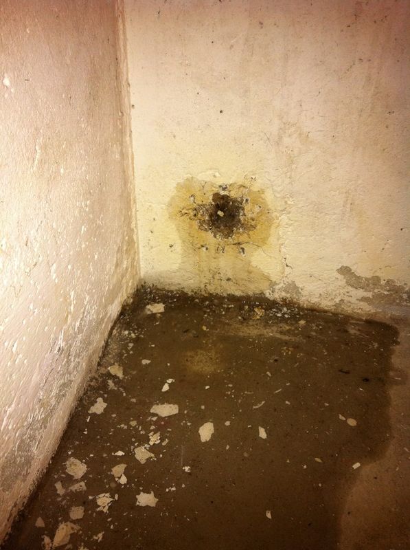BAU.DE / BAU-Forum: 1. Bild zu Frage "Holz in Kellerwand eingegossen: Ursachen, Risiken & Sanierungsm&ouml;glichkeiten?" im BAU-Forum "Keller"