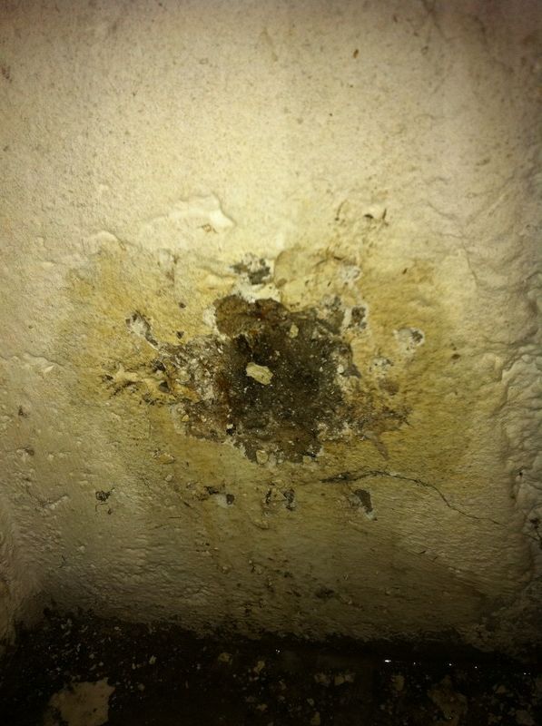 BAU.DE / BAU-Forum: 2. Bild zu Frage "Holz in Kellerwand eingegossen: Ursachen, Risiken & Sanierungsm&ouml;glichkeiten?" im BAU-Forum "Keller"