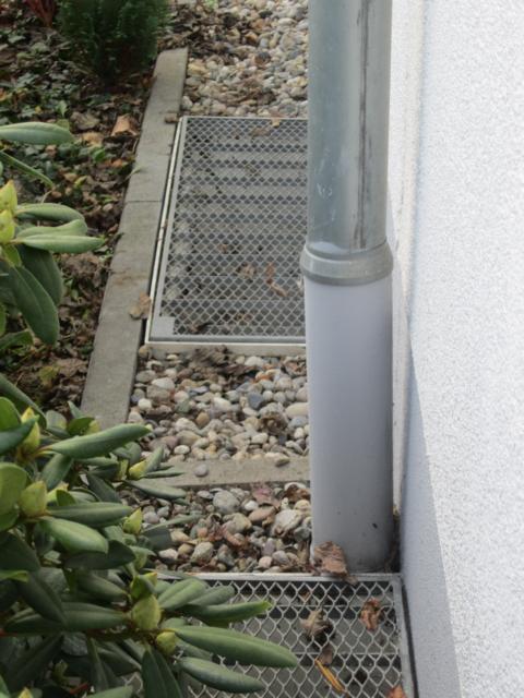 BAU.DE / BAU-Forum: 3. Bild zu Frage "Feuchte Wand im Keller: Ursachen, Risiken & Ma&szlig;nahmen im Reihenmittelhaus (Bj. 1999)" im BAU-Forum "Keller"