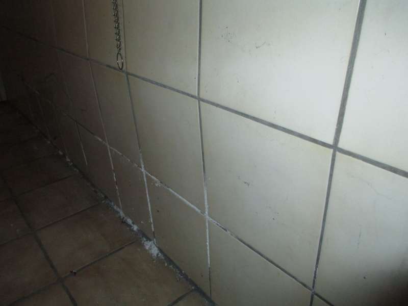 BAU.DE / BAU-Forum: 2. Bild zu Frage "Schaden im Saunaraum: Ursachen, Sofortma&szlig;nahmen & Sanierungskosten?" im BAU-Forum "Keller"