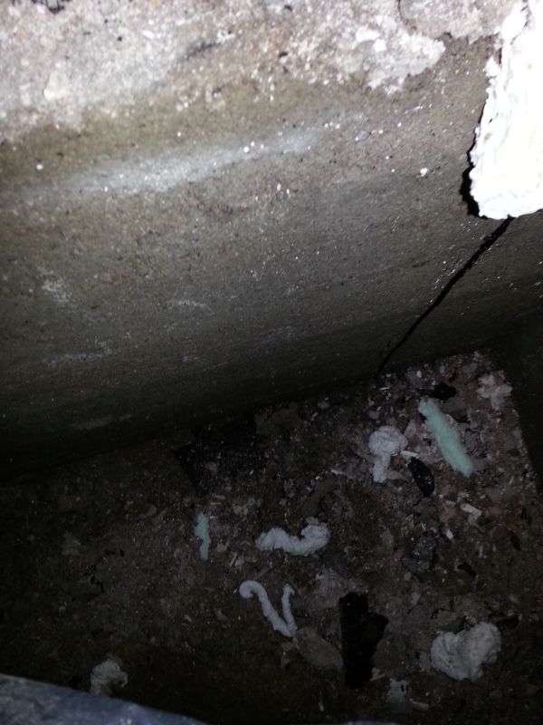 BAU.DE / BAU-Forum: 2. Bild zu Frage "Schimmel nach Fu&szlig;bodensanierung im Altbau: Ursachen, Gefahren & Sanierungskosten?" im BAU-Forum "Keller"